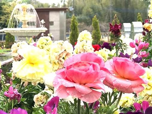 サニープレイス松戸のアルバイト・バイト求人情報-04