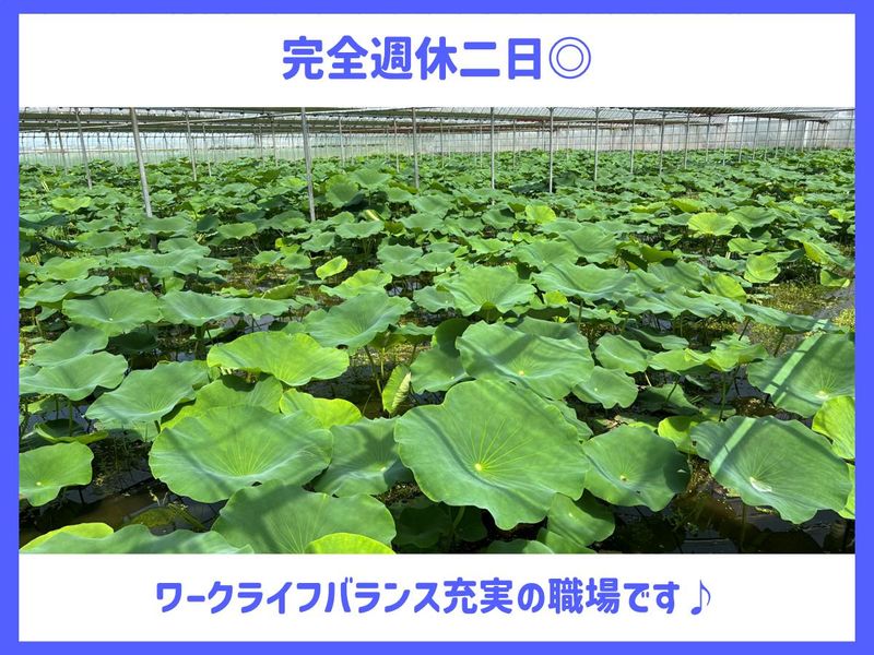 株式会社One vegetableのアルバイト・バイト求人情報-01