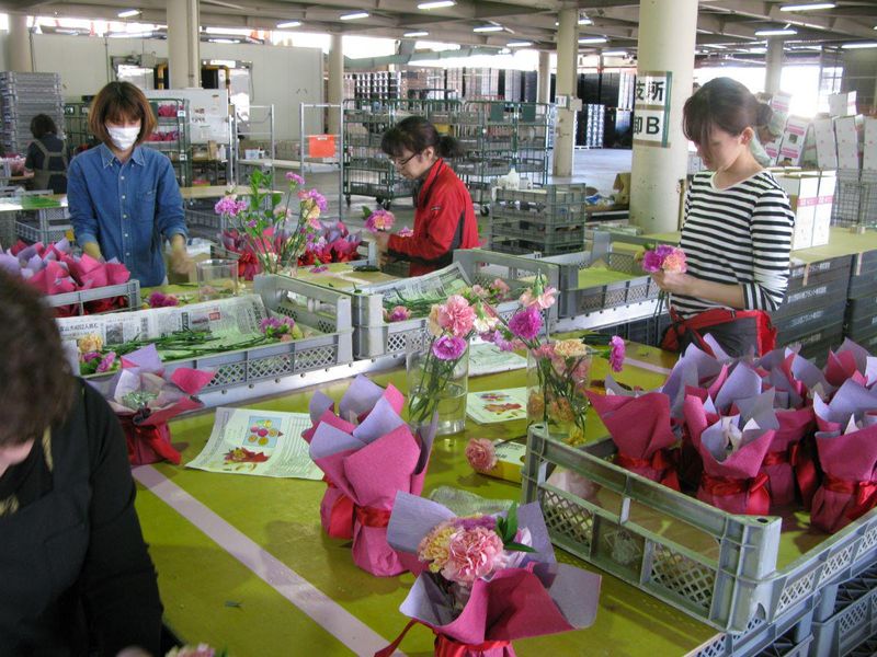 富山県花卉球根農業協同組合の求人情報