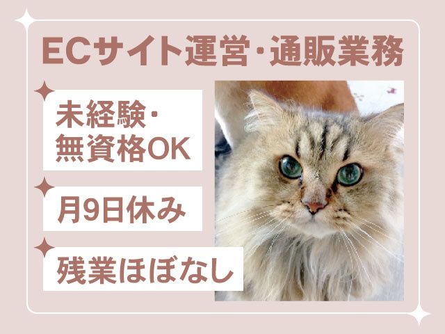 株式会社M.Y Forestの求人・転職情報