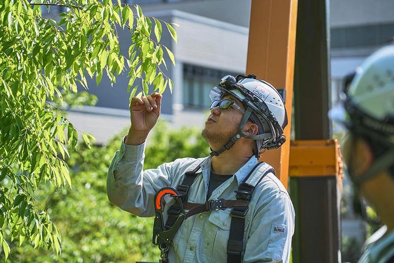 三和機工株式会社の求人・転職情報