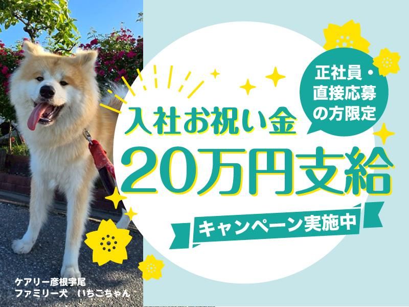 株式会社ケアリーの求人・転職情報