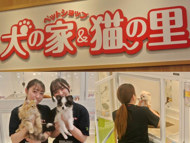 株式会社犬の家の求人・転職情報