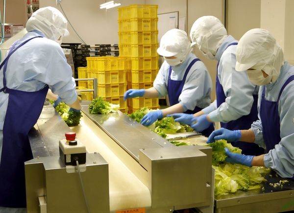 株式会社ユーキフーズ岐阜工場　分割野菜室(ヨシケイグループ)のアルバイト・バイト求人情報-02