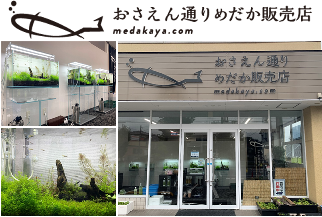 ㈲マイ・シティーの求人・転職情報