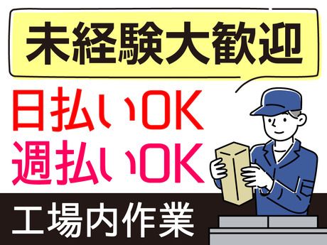 ネストライブ株式会社の派遣求人情報