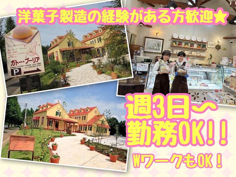 ガトープーリアのアルバイト・バイト求人情報-01