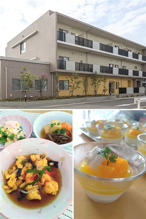 株式会社ジェネラス-0035の求人・転職情報