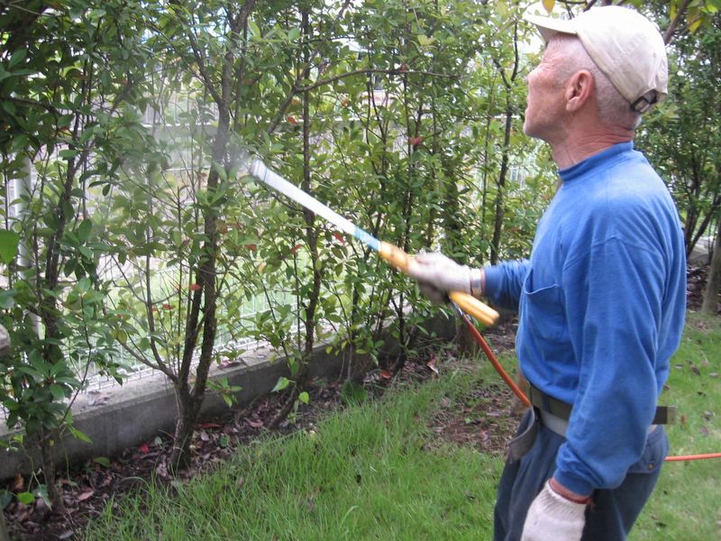 株式会社ディーシーエスのアルバイト・バイト求人情報-02