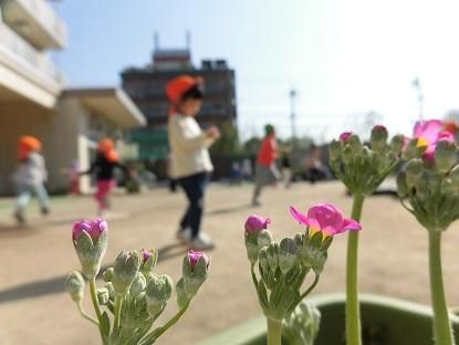 社会福祉法人　三鷹市社会福祉事業団の求人・転職情報