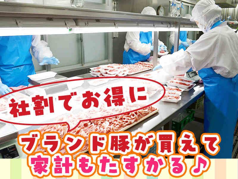 カナミヤ食品株式会社の求人・転職情報