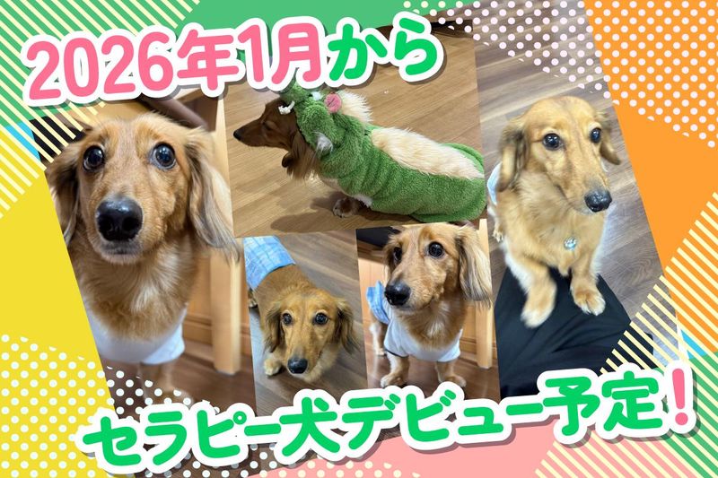 株式会社スマイルらいふけあの求人・転職情報