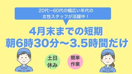 株式会社ティー・シー・シーの派遣求人情報