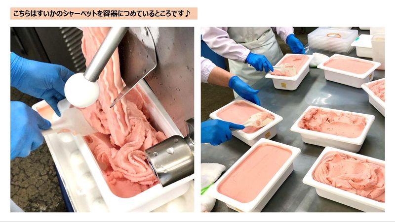 Gelato　gelato　津幡工場のアルバイト・バイト求人情報-02
