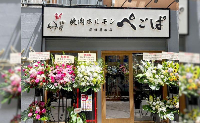 株式会社ペゴパ-0003の求人・転職情報