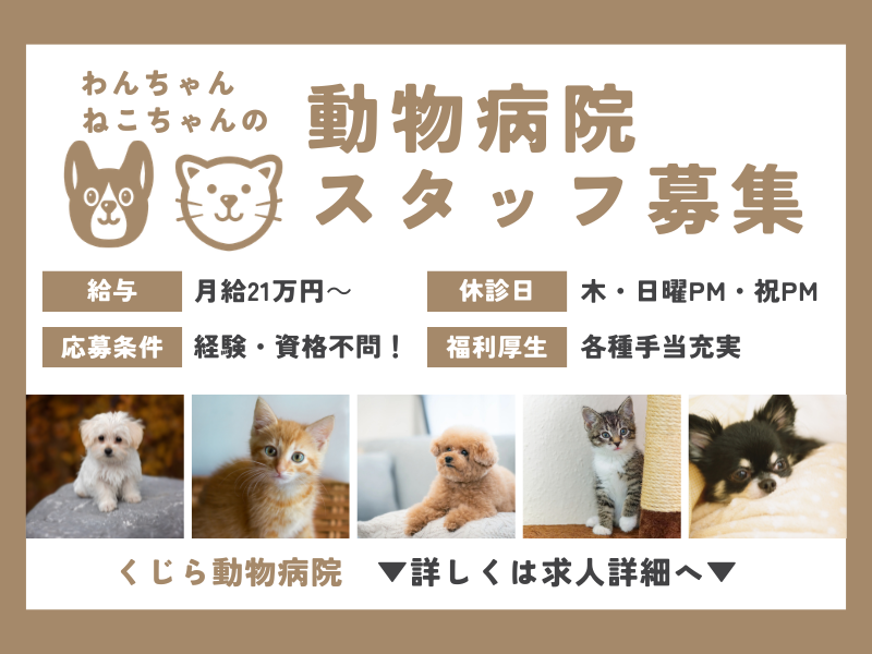 株式会社Ｋ＆Ｔの求人・転職情報