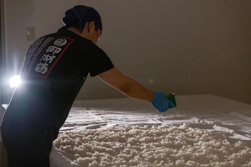 磐栄運送株式会社の求人・転職情報