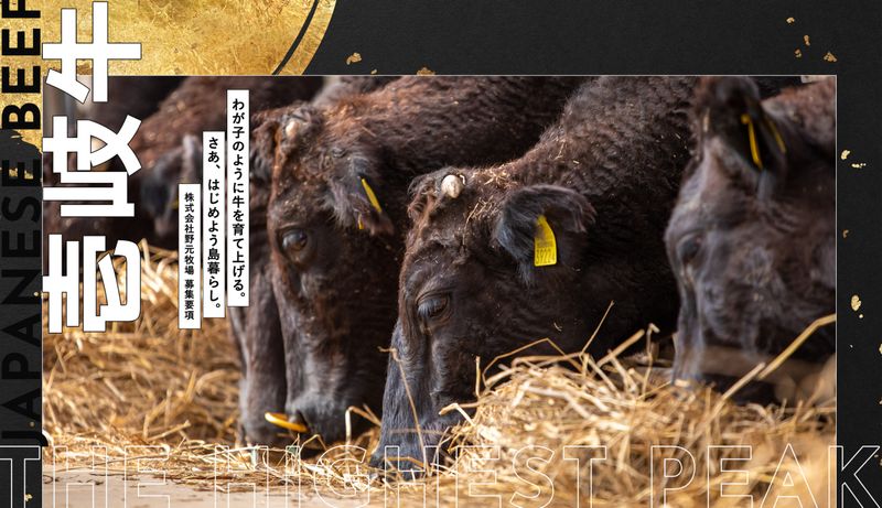農業生産法人 株式会社野元牧場の求人・転職情報