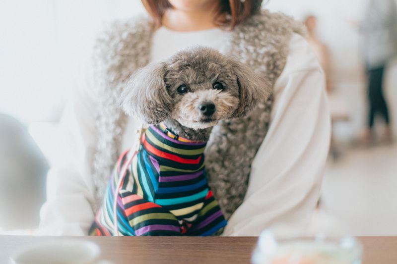 株式会社呉竹荘ホールディングスの求人・転職情報