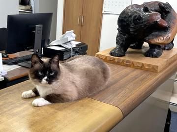 有限会社　山口製作所のアルバイト・バイト求人情報-04