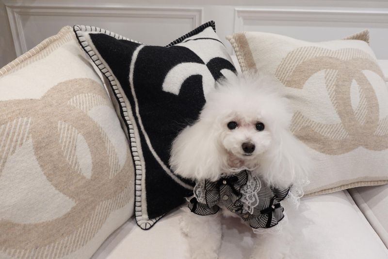 株式会社岩波の求人・転職情報