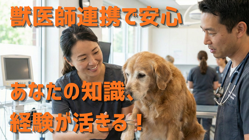株式会社ホリーズペッツの求人・転職情報