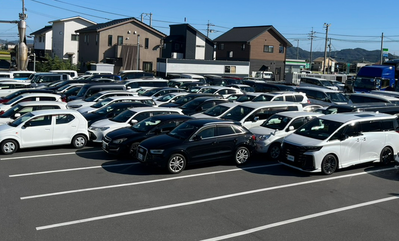 株式会社エムズキャリーの求人・転職情報