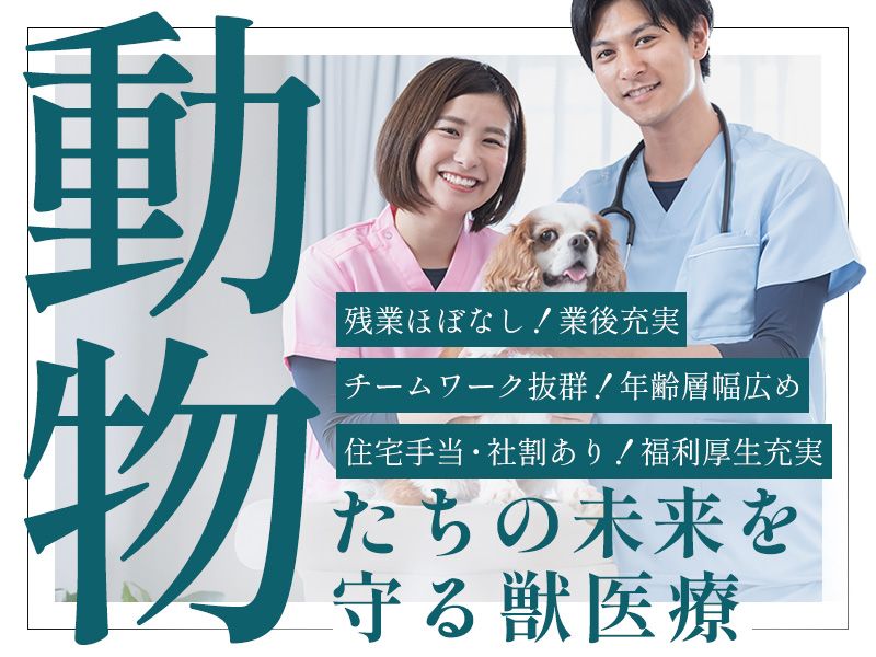 有限会社エスエーシーの求人・転職情報