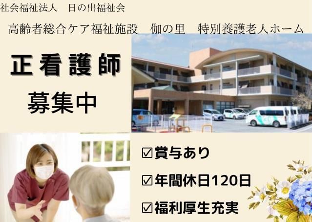 ジョイスリー株式会社の求人・転職情報