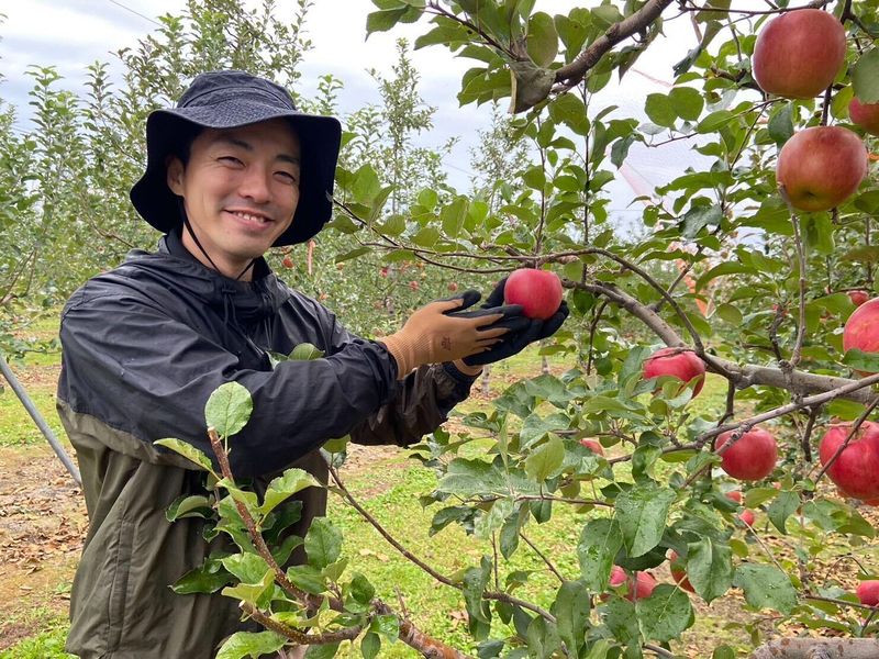 ジャパンフルーツ株式会社の求人・転職情報