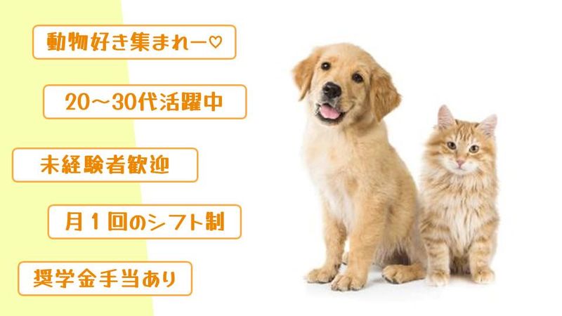 株式会社レックスの求人・転職情報