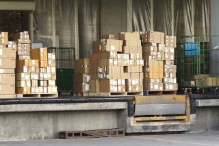 株式会社マインズ