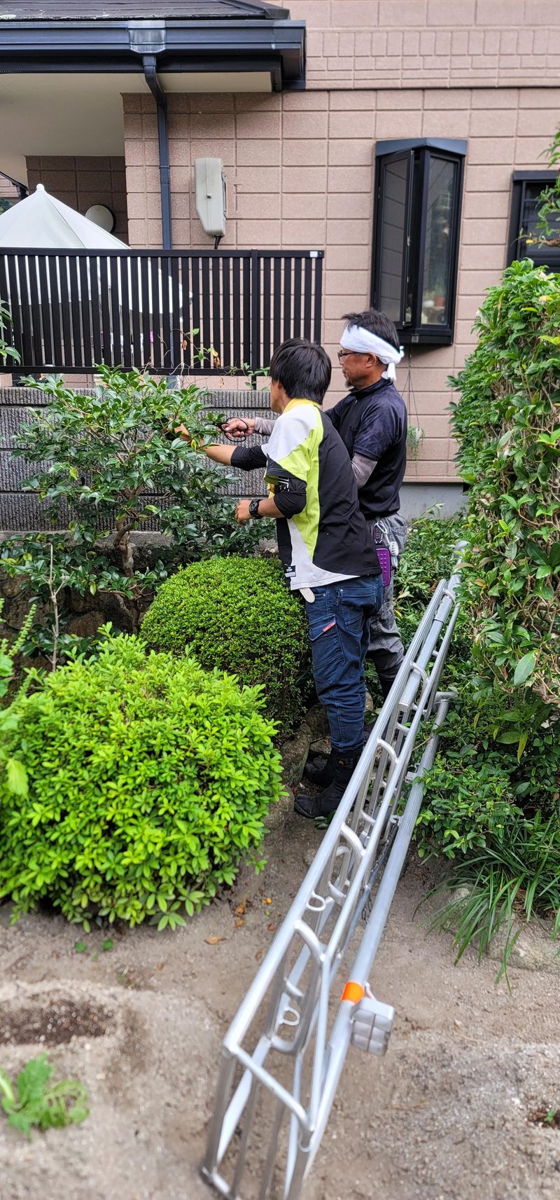 求人画像