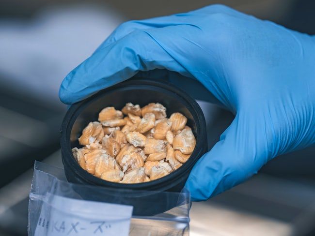 ホクレンくみあい飼料株式会社の求人・転職情報