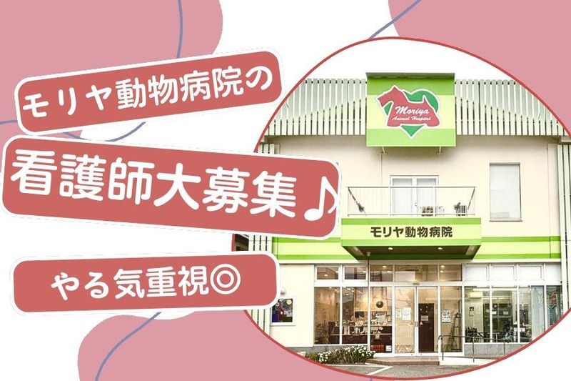 モリヤ動物病院の求人・転職情報