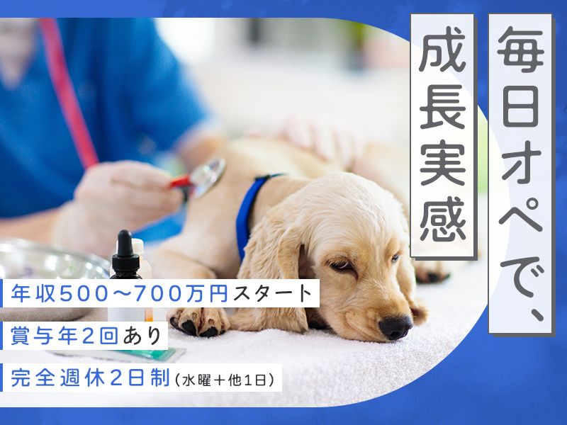 株式会社マルタケの求人・転職情報