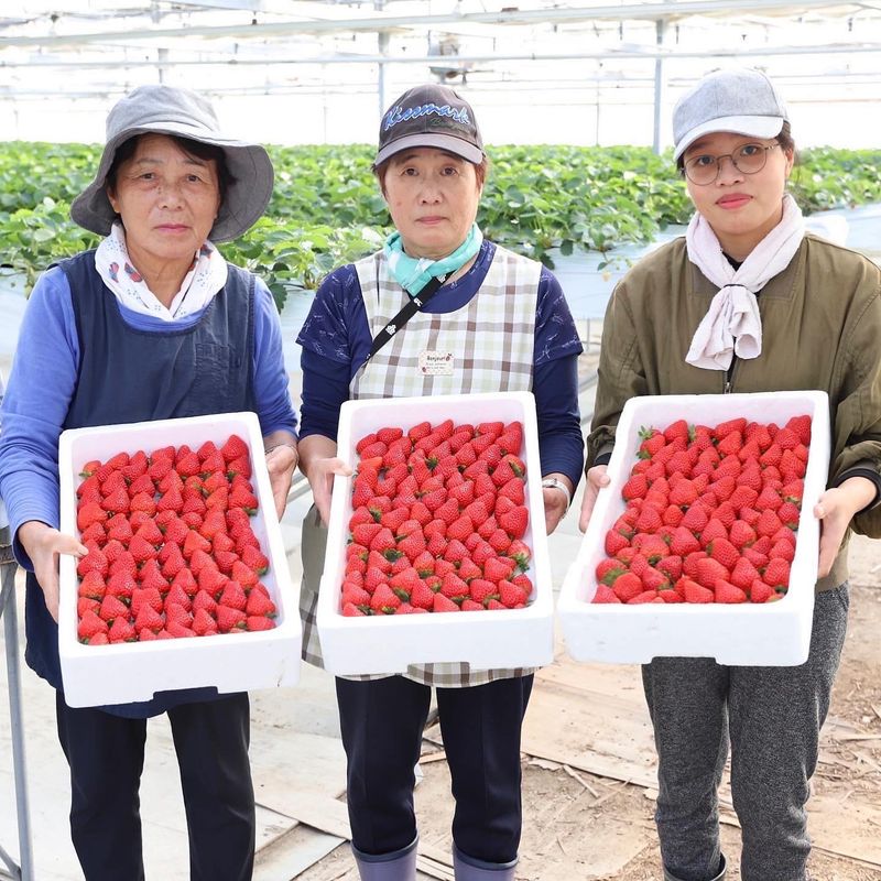 アグリッチジャパン株式会社の求人・転職情報-02