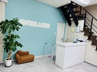 株式会社ガイズプロモーションの求人・転職情報