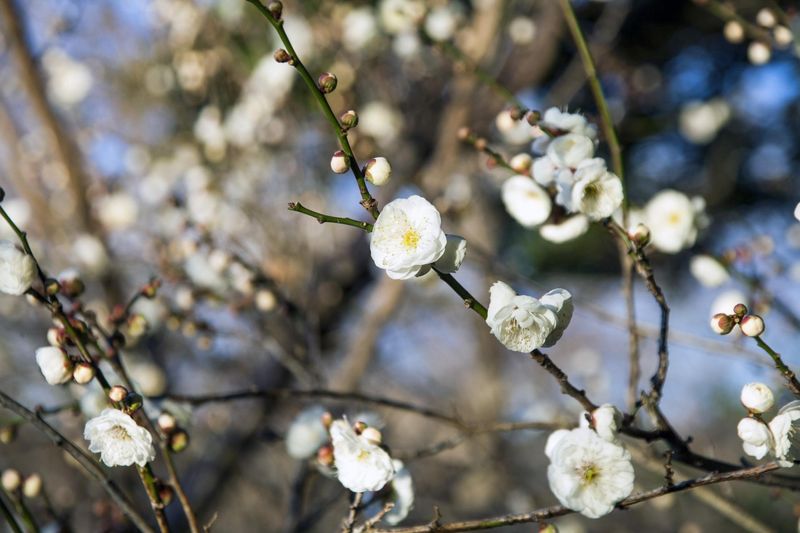 【JR京都駅構内】株式会社ハロー引越サービス　リアルリンク事業部のアルバイト・バイト求人情報-04