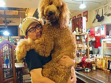 自然野菜と自然派ワインのお店 ばった屋のアルバイト・バイト求人情報