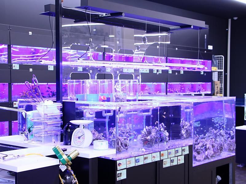 ワンラブ　ホームセンターバロー可児坂戸店のアルバイト・バイト求人情報-03