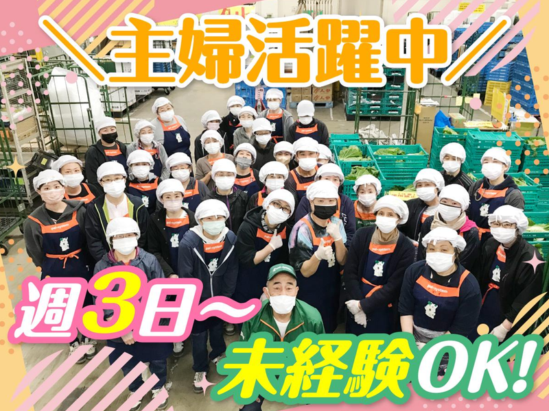 株式会社パルラインのアルバイト・バイト求人情報-02