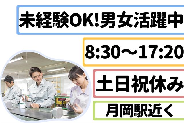 インフェイス株式会社の派遣求人情報