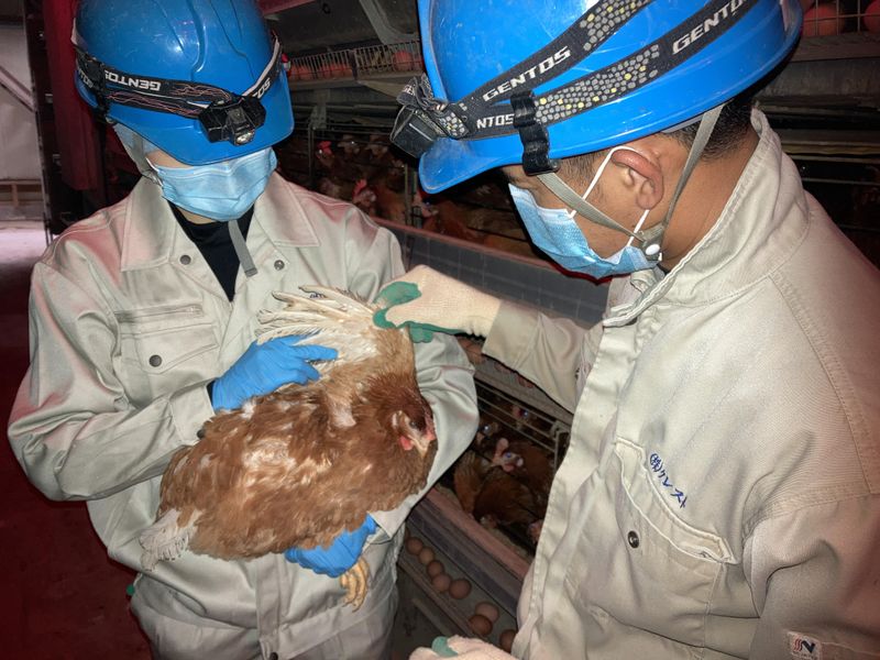 株式会社関西ポートリー