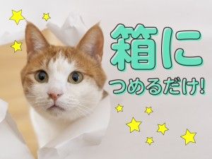 株式会社日本コンコードシステムのアルバイト・バイト求人情報-02
