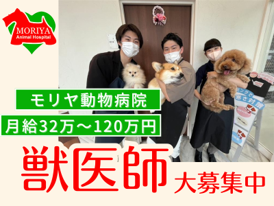 有限会社パームマーケティングの求人・転職情報