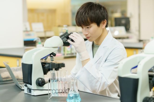 株式会社ドリームキャッチャーの求人・転職情報