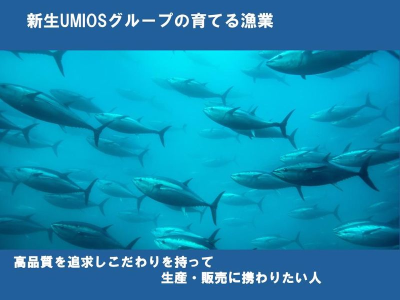 大洋エーアンドエフ株式会社