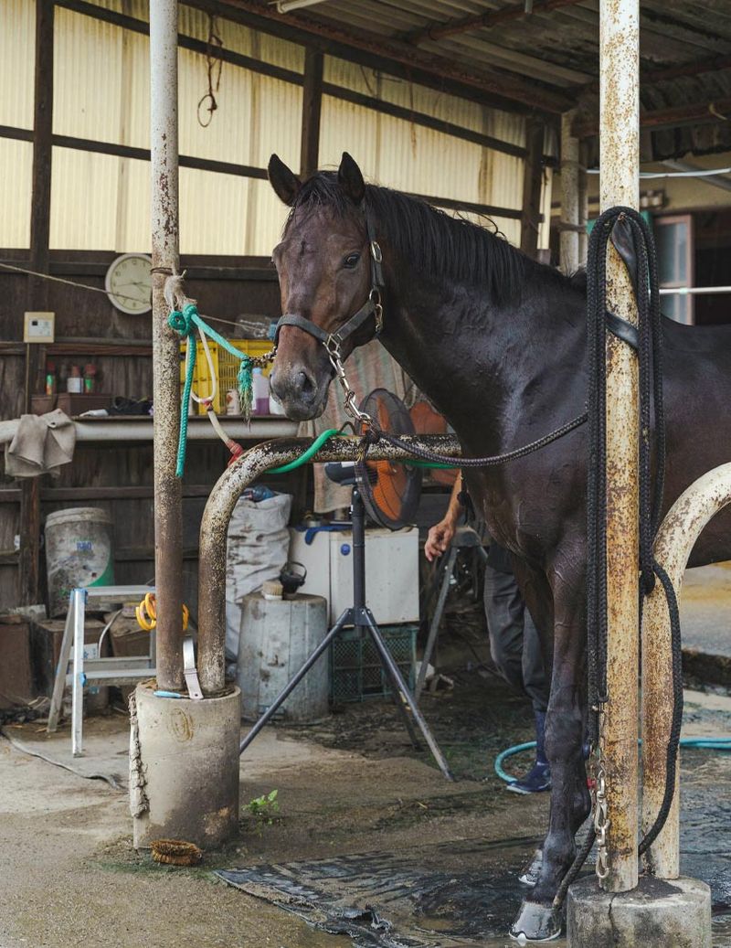 境共同トレーニングセンター株式会社の求人・転職情報