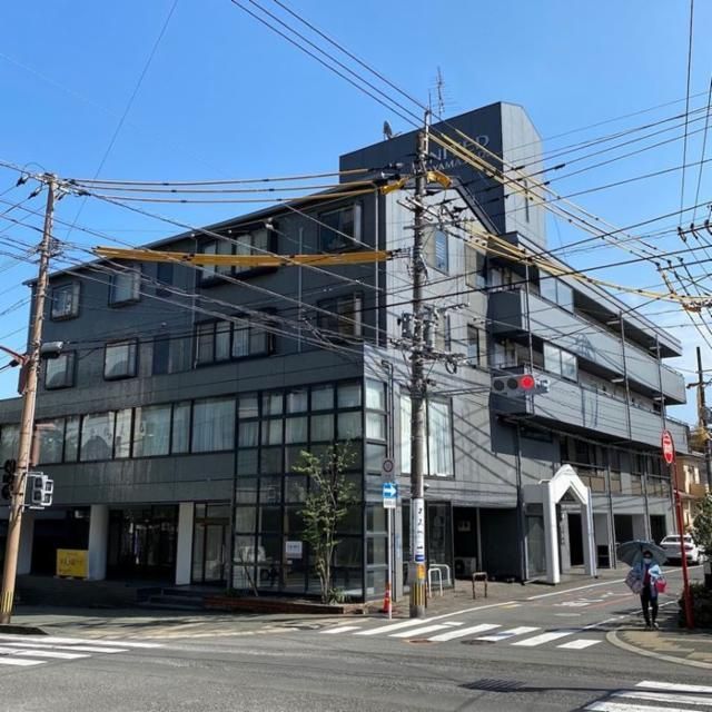 株式会社マシュマロの樹の求人・転職情報